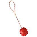 Trixie Aqua Toy Ball am Seil, schwimmt  4,5/35 cm