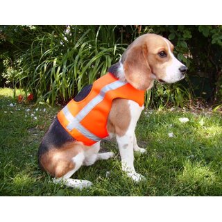 Hundesignalweste HOLSTEIN Farbe: neonorange Gr. M