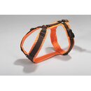 anny-x Brustgeschirr Protect XL leuchtorange / braun