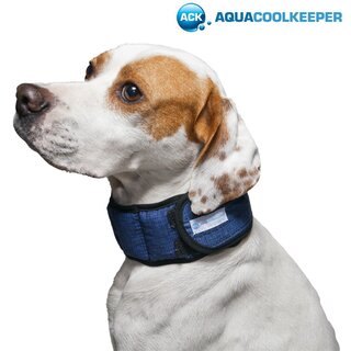 Aqua CoolKeeper Kühlhalsband Gr. 07 M 30-34cmx4cm Pacific Blue
