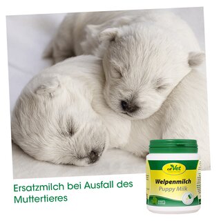 CdVet Welpenmilch Puppy Milk 90 g