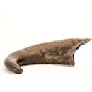Rinder Horn Natur 1 - 2 Stck.
