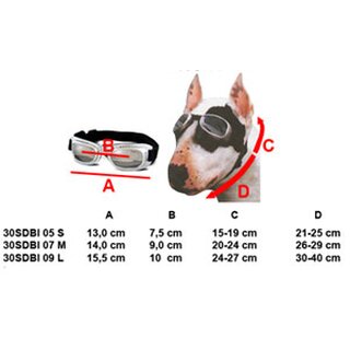 Sonnenbrille für Hunde