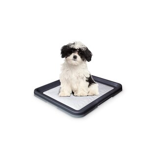 Nobby Doggy Trainer L - 62,5 x 48 x 3,8 cm