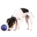 Trixie Snack-Ball, Kunststoff 11 cm