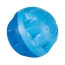 Trixie Kühl-Ball für Hunde, ø 8 cm