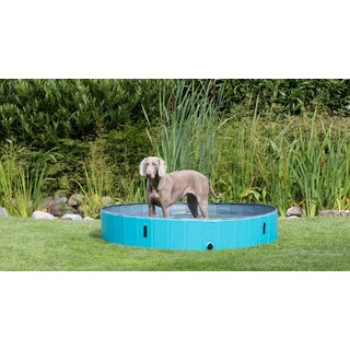 Trixie Hundepool, petrol/grau  70  12 cm