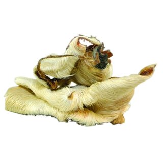 Rinder-Kopfhaut mit Fell, ca. 15 cm, getrocknet 475 g