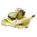 Rinder-Kopfhaut mit Fell, ca. 15 cm, getrocknet 1 kg