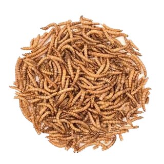 Mehlw�rmer getrocknet Power Energy 225 g