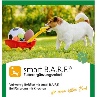 smart B.A.R.F.