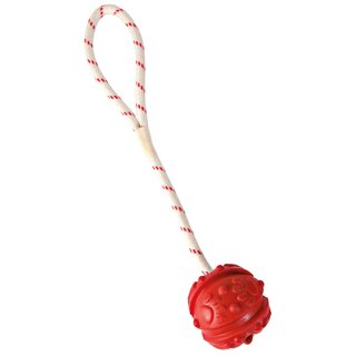 Trixie Aqua Toy Ball am Seil, schwimmt  7/35 cm