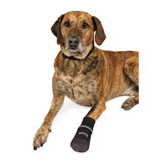 Trixie Pfotenschutz Walker Care Comfort 2 Stk. - M