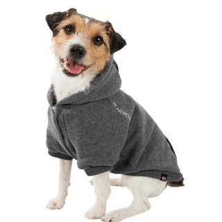 Trixie BE NORDIC Hoodie Flensburg, Hundepulli, grau