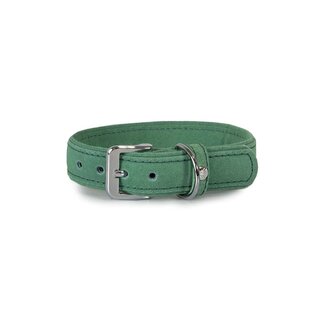 Hundehalsband Toronto Leaf Green Breite 25 mm / Lnge 40 cm