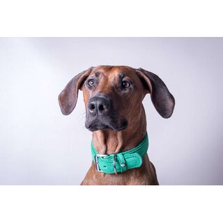 Hundehalsband Toronto Leaf Green Breite 25 mm / Lnge 40 cm