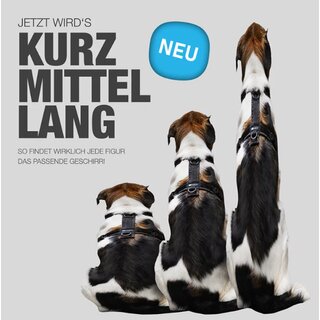 anny-x Brustgeschirr Fun schwarz / schwarz M kurz