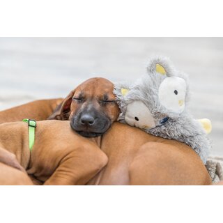 Trixie Junior Schlenkertier, 33 cm