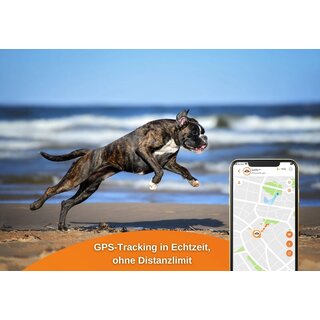 Weenect XS - GPS Tracker Hund weiß