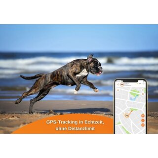 Weenect XS - GPS Tracker Hund wei