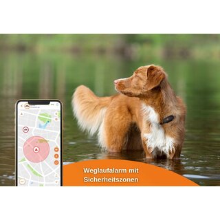 Weenect XS - GPS Tracker Hund wei