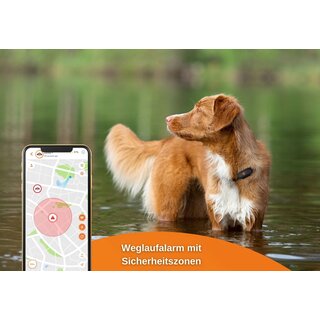 Weenect XS - GPS Tracker Hund schwarz