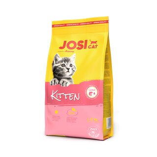 JosiCat Kitten