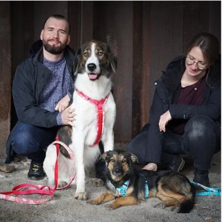 anny-x Limited Edition Brustgeschirr FUN,