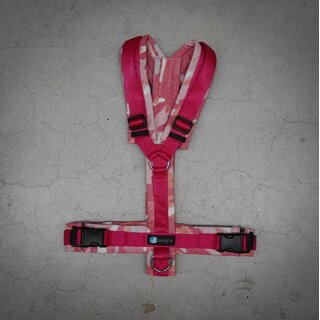 anny-x Limited Edition Brustgeschirr FUN, XS kurz fire