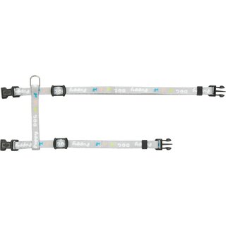 Trixie Junior Welpen-H-Geschirr mit Leine S-M (23?34 cm/8 mm) hellgrau