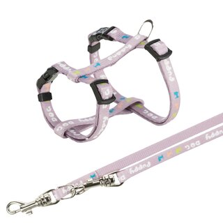 Trixie Junior Welpen-H-Geschirr mit Leine S-M (23?34 cm/8 mm) hellgrau