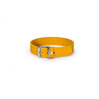 Hundehalsband Weinheim Yellow Breite 16 mm / Lnge 32 cm