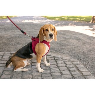Vest Geschirr curli Clasp Air-Mesh Fuchsia 3XS (Brustumfang 24 - 28cm)