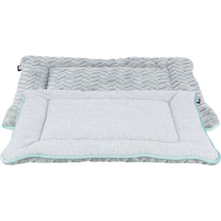 Trixie Junior Liegematte, hellgrau/mint 50  40 cm