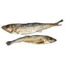 Hering getrocknet