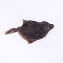 Flunder Natur getrocknet Beutel 5 Flundern