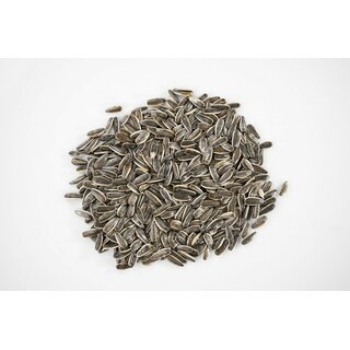 Rudloff Sonnenblumenkerne gestreift 250 g