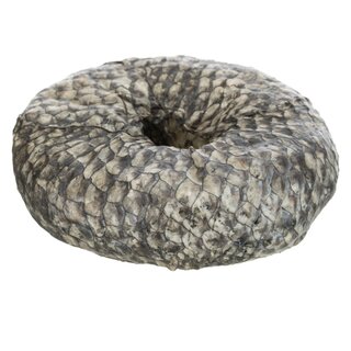 Trixie Denta Fun Ring mit Weifisch,  10 cm
