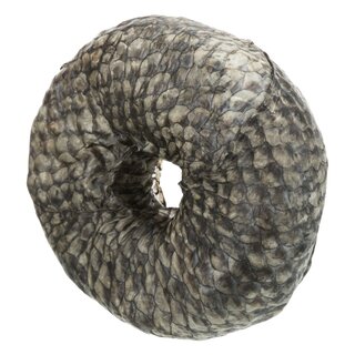 Trixie Denta Fun Ring mit Weifisch,  10 cm