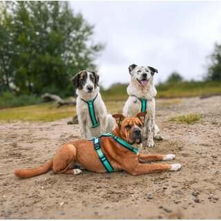 anny-X Brustgeschirr Fun Ozean XL