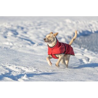 Trixie Wintermantel Explore Thermo, rot S - 35 cm