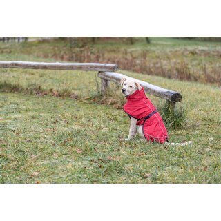 Trixie Wintermantel Explore Thermo, rot L - 55 cm