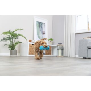 Trixie Smiley-Hantel, 19 cm