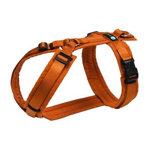 anny-X Brustgeschirr Fun Ahorn