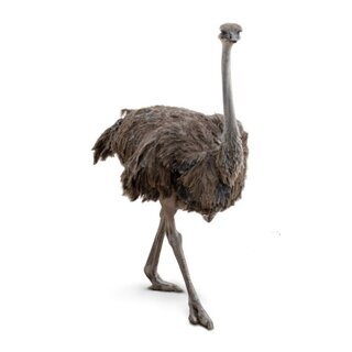 Strau� Happen mit Mango 100 g