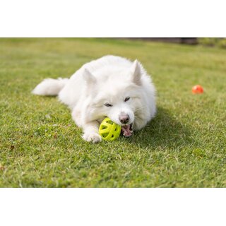 Trixie Wabenrugby, 11 cm, lime