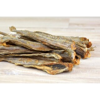Blue Whiting / Blauer Wittling 100 g