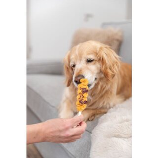 Trixie Premio Lolly mit H�hnerbrust und Cranberry, 12 cm