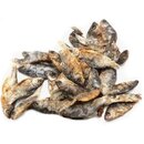 Karausche ganze Fische getrocknet