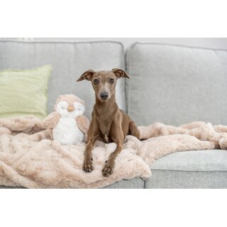 Trixie Hundespielzeug Pl�sch-Eule, 18 cm